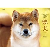 カレンダー2026 柴犬（月めくり/壁掛け/いぬ） (ヤマケイカレンダー